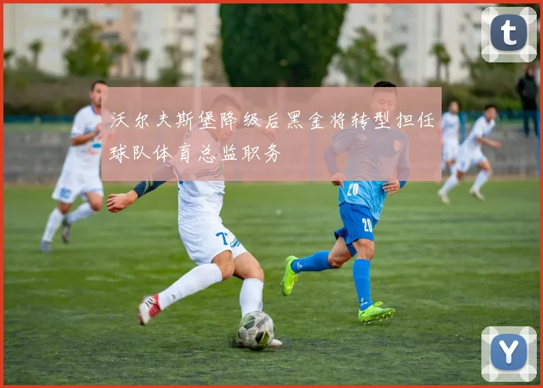 沃尔夫斯堡降级后黑金将转型担任球队体育总监职务
